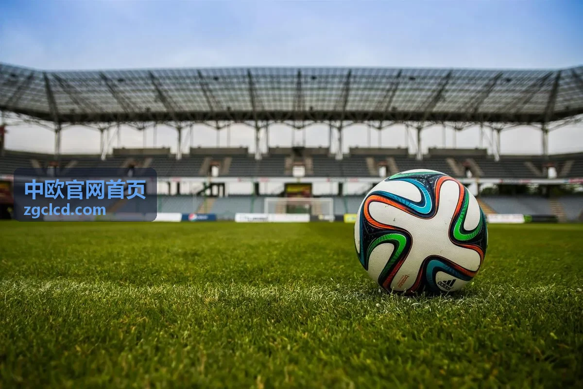 中东欧市场投资机会直播回放